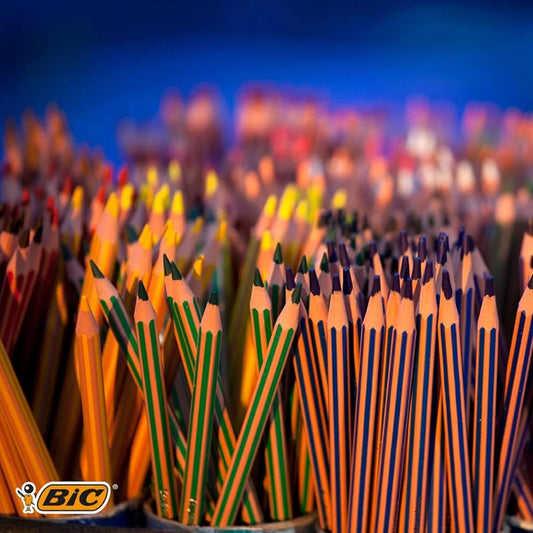 Lápis de Cor BIC Evolution Stripes – 12 Cores (Pack 12)